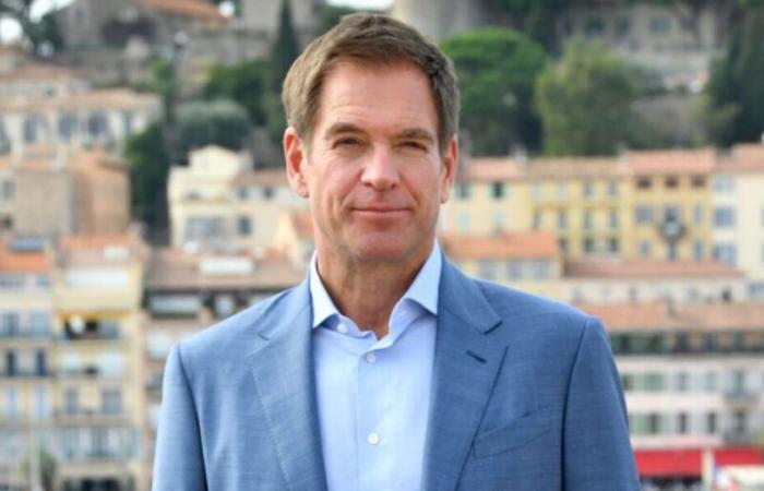 Michael Weatherly (NCIS) empfiehlt diese drei in Frankreich wenig bekannten Serien