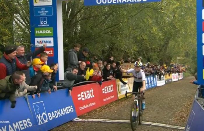 Radfahren. Cyclocross – Fem Van Empel gewinnt Solo beim Koppenbergcross