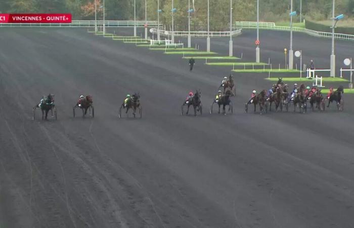 Quinté+: PRIX DE SOULAC – PARIS-VINCENNES – 31.10.2024: Läufer, Vorhersagen und Ergebnisse in Videos – Rennen 1