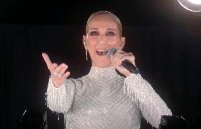 Celine Dion bald wieder in den Läden? Berichten zufolge arbeitet die Diva an einem neuen Projekt, das ihren französischen Fans gefallen dürfte