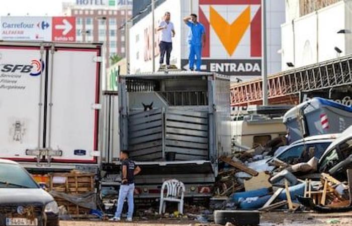 Ein Anbruch von Plünderungen, schwimmenden Autos und 12 dehydrierten Pferden im Gewerbegebiet Alfafar | Spanien