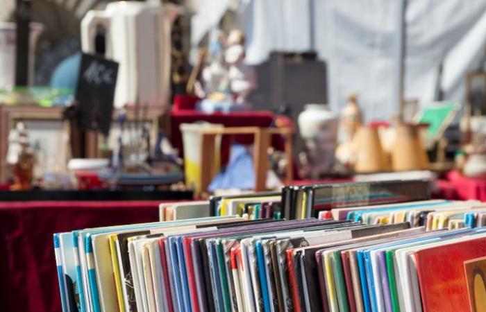 Flohmarkt, Bücherverkauf, Eiskunstlauf … Unsere Ausflugsideen für dieses Wochenende in Angers