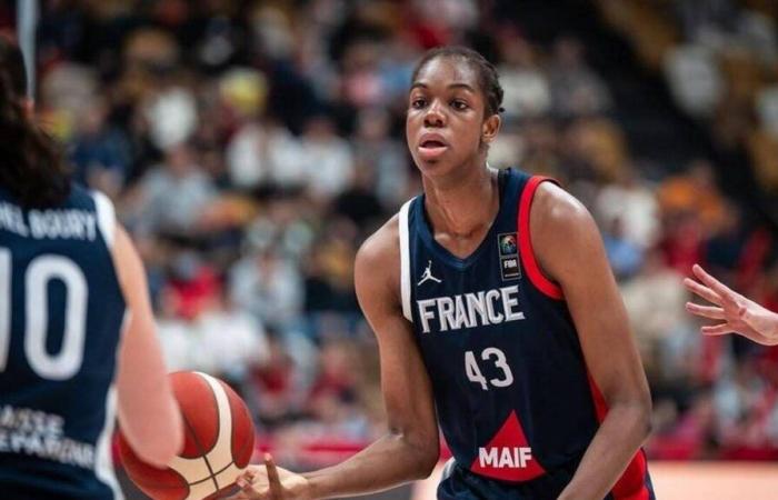 Dominique Malonga, ein leuchtender Dunk für den französischen Basketball