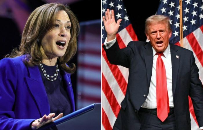 Trump oder Harris? Die Ergebnisse der Umfragen zu D-4 der Wahl