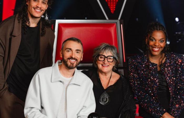 „Bei „The Voice“ zum Beispiel sind es zwischen 700 und 1.000 Euro … pro Minute! »