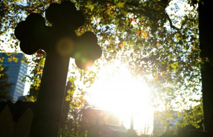 Witwe, die in die Gruft fällt, Familienjuwel, Streit auf dem Friedhof … wenn der Unpassende sich zu den Beerdigungen einlädt