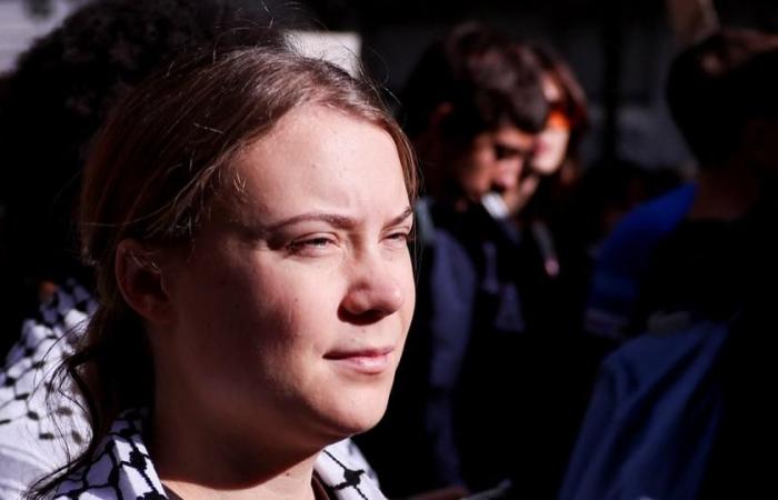 Live – US-Präsidentschaftswahl: Laut Greta Thunberg ist Donald Trump eine „gefährliche“ Wahl für die USA