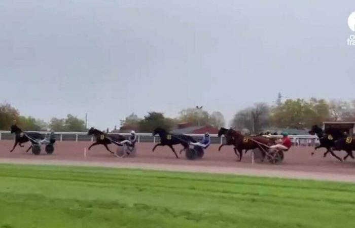 VIDEO. Auf der Rennbahn von Laval verfolgten wir den Grand Prix von Toussaint so nah wie möglich an der Strecke