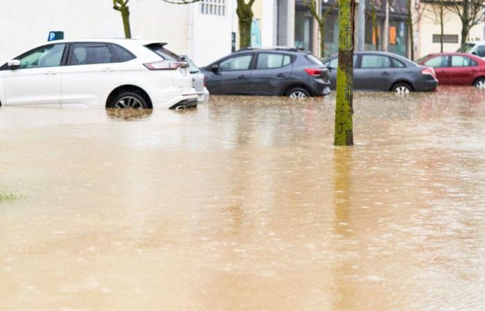 Dramatische Überschwemmungen in Spanien, der Secours populaire du Territoire de Belfort startet einen Spendenaufruf