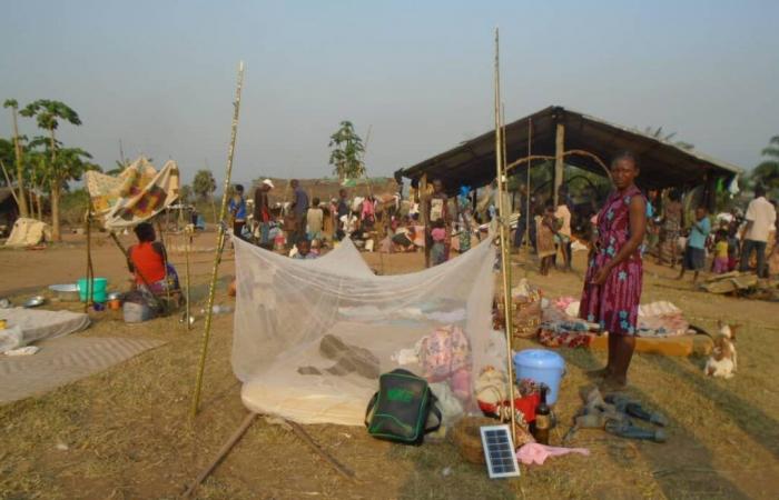 Zongo: Mehr als 5.000 Haushalte wurden aufgrund von Überschwemmungen innerhalb von zwei Wochen obdachlos