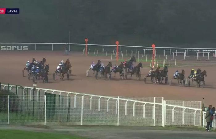 PRIX PARIS-TURF – LAVAL – 01.11.2024: Starter, Vorhersagen und Ergebnisse in Videos – Rennen 8