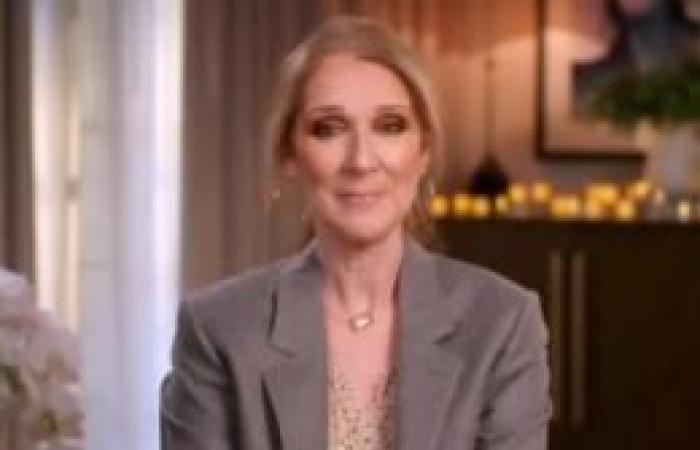 Celine Dion bald wieder in den Läden? Berichten zufolge arbeitet die Diva an einem neuen Projekt, das ihren französischen Fans gefallen dürfte