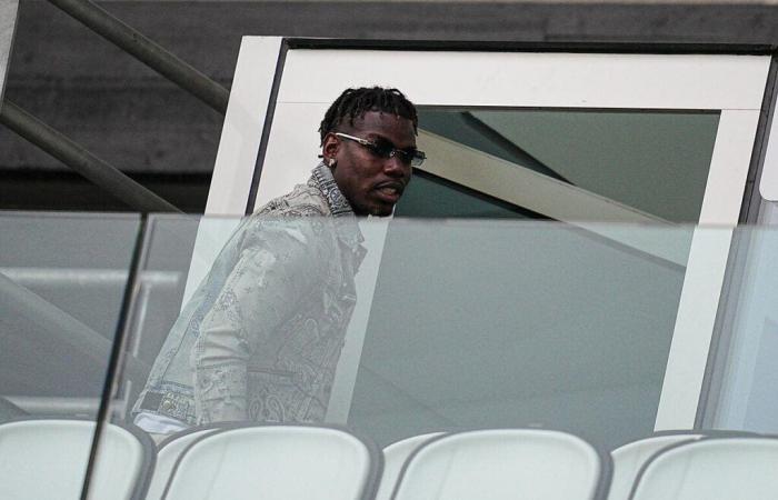 Pogba bei OM, das Szenario nimmt Gestalt an