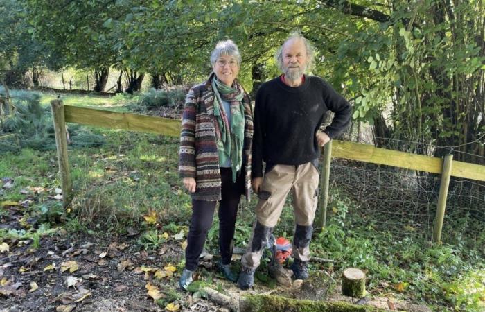 La Folêterie, ein außergewöhnlicher Garten in Orne, der seit 30 Jahren mit Liebe gestaltet wurde