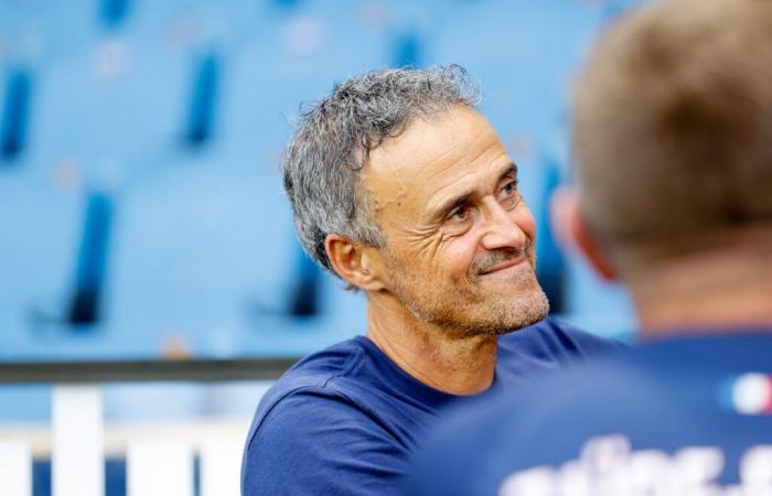 Verrät Luis Enrique die nächste Verpflichtung von PSG?