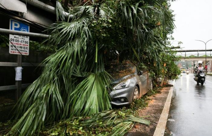 Taiwan: Zwei Tote und mehr als 500 Verletzte nach dem Durchzug des Taifuns Kong-rey