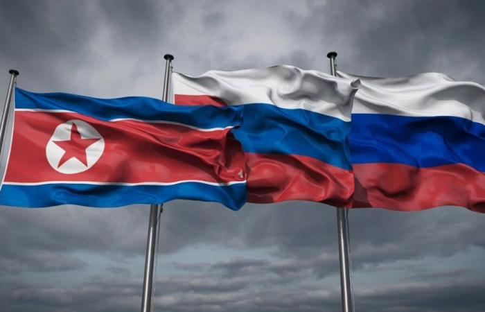 Nordkorea bekräftigt seine militärische Unterstützung für Russland