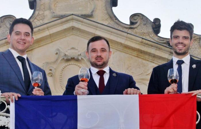 Das Finale des Wettbewerbs um den besten Sommelier Frankreichs findet diesen Sonntag in Thuir statt