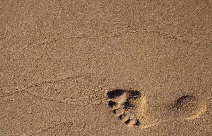 Warum ist Strandsand manchmal rosa oder schwarz?