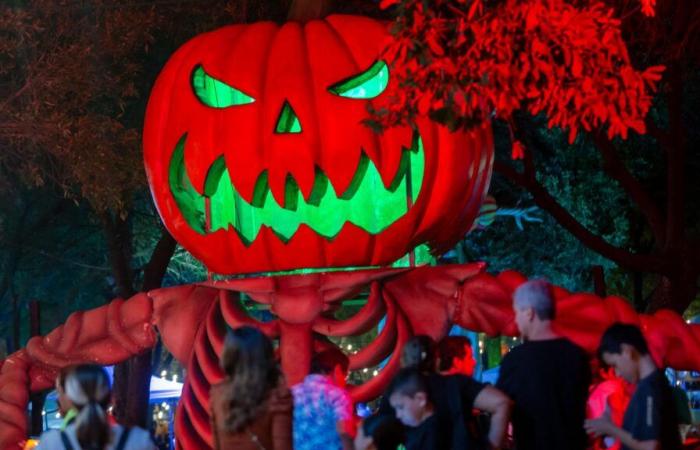 Die Halloween-Nacht in Dublin gerät wegen eines schlechten Streichs ins Chaos