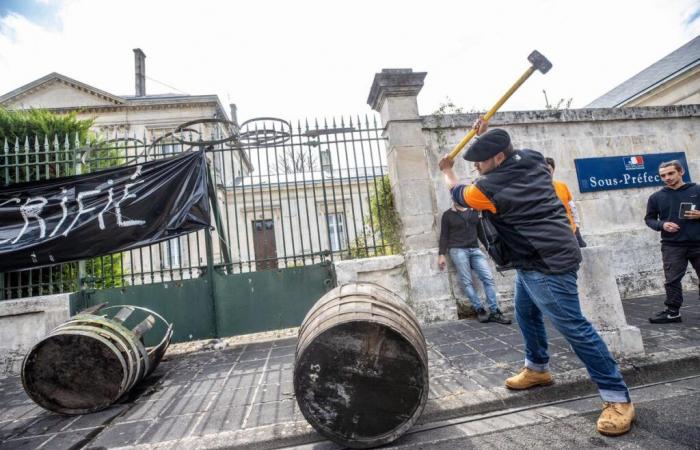 Chinesische Steuern auf Cognac: die letzte Chance des Außenhandelsministers