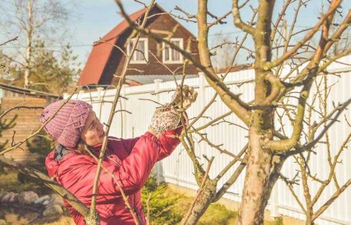 Im November gibt es im Garten wichtige Termine zu beachten, damit er den ersten Frösten standhält