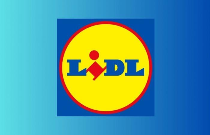 Lidl schlägt mit diesen 3 Parkside-Angeboten zu noch nie dagewesenen Preisen hart zu