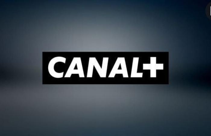 Canal+: Der Konzern riskiert eine Steueranpassung von 655 Millionen Euro