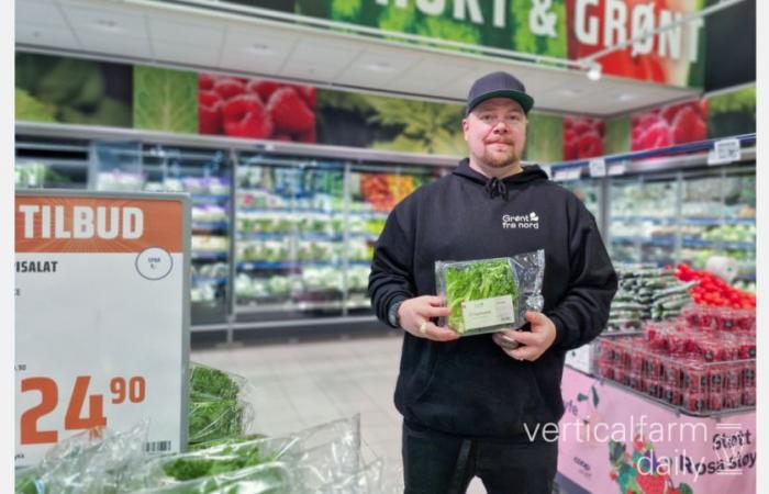 „Trotz unserer Fähigkeit, ein stabiles Angebot anzubieten, folgen wir den Preisen für importierten Salat.“