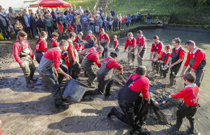 in Saint-Maigrin ein leerer Teich und sehr frischer Fisch zum Mitnehmen