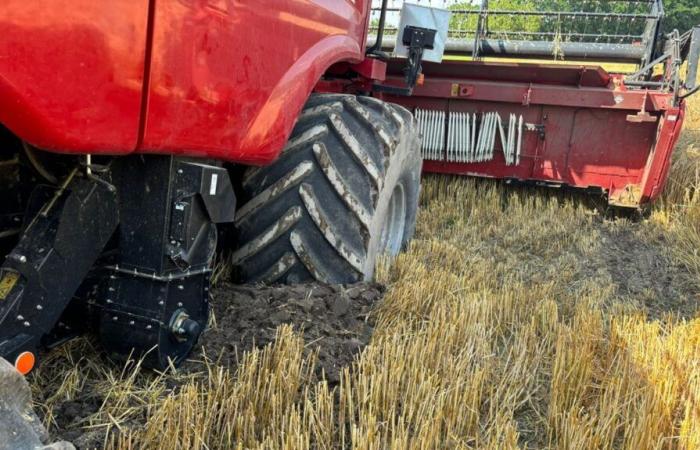 Agrarunternehmer werden immer wieder Opfer verbaler Angriffe