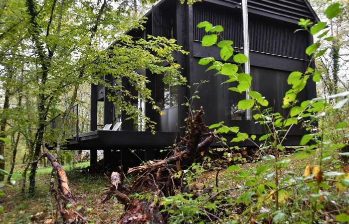 Video. Entdecken Sie im Périgord ein erstaunliches schwarzes Holzhaus