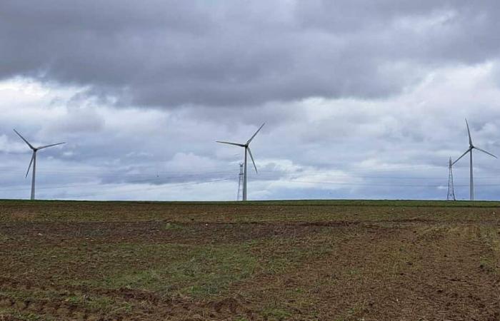 Picard-Tablett. Windkraftprojekte vervielfachen sich, ebenso wie negative Meinungen