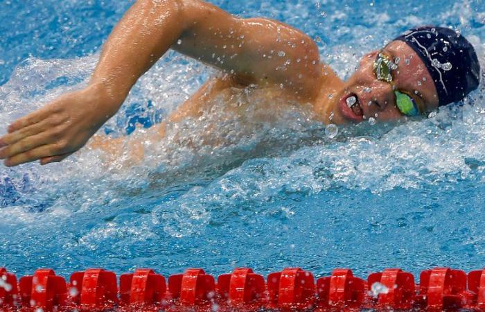 VIDEO. Léon Marchand bei der Schwimmweltmeisterschaft: Neue Goldkrone für den gebürtigen Toulouser, nah an seinem Rekord über 400 m Lagen