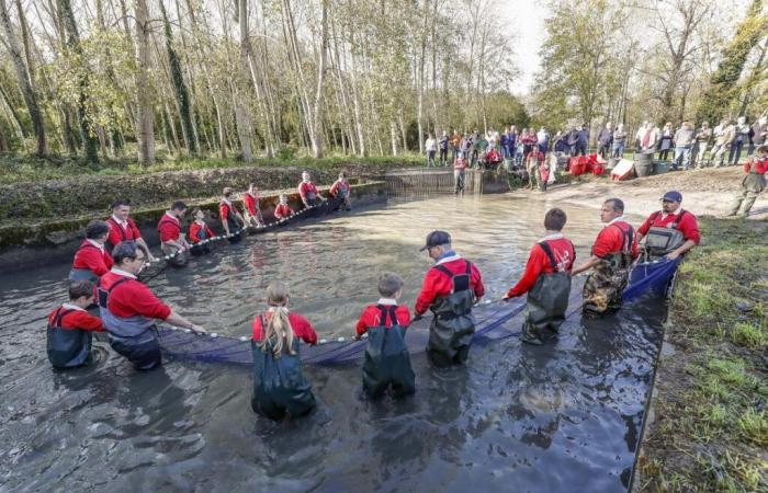 in Saint-Maigrin ein leerer Teich und sehr frischer Fisch zum Mitnehmen