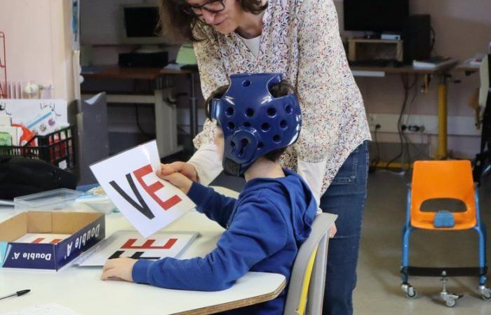 Unterstützungsberufe in Aveyron vom 4. bis 8. November hervorgehoben