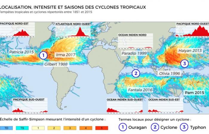 Das meistverkaufte Buch zum Thema Wetter seit fünf Jahren! 11.02.2024