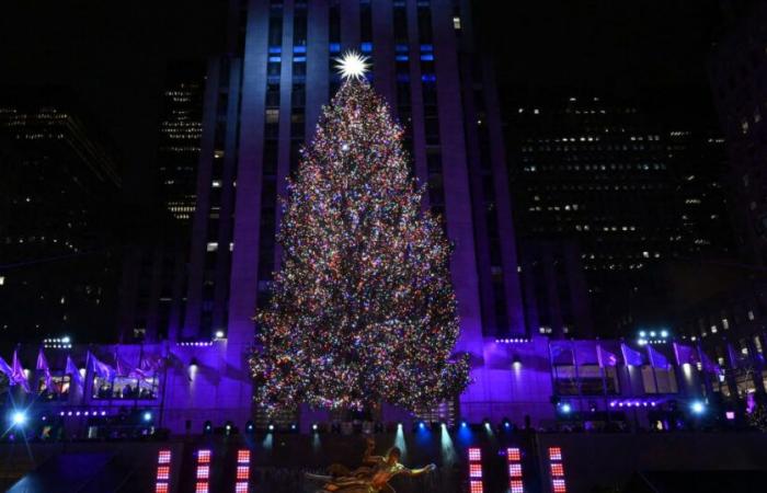 Standort in New York, Datum der Baumbeleuchtung und mehr