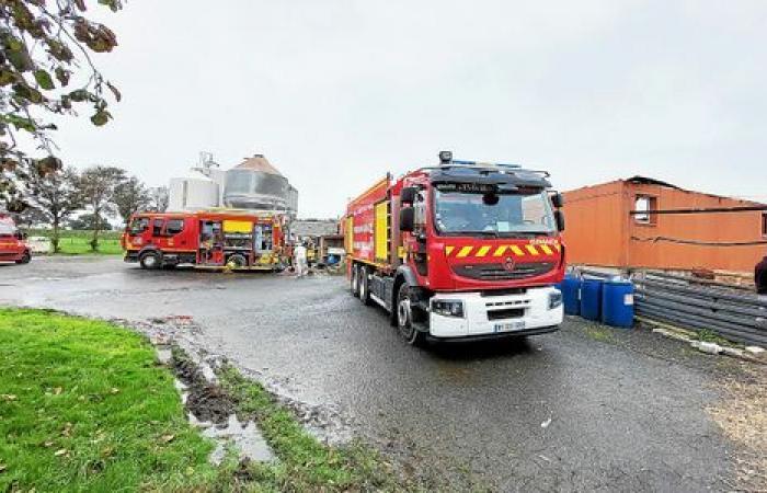 In Lamballe-Armor sterben 2.000 Ferkel und 90 Sauen bei einem Brand in einem Zuchtgebäude