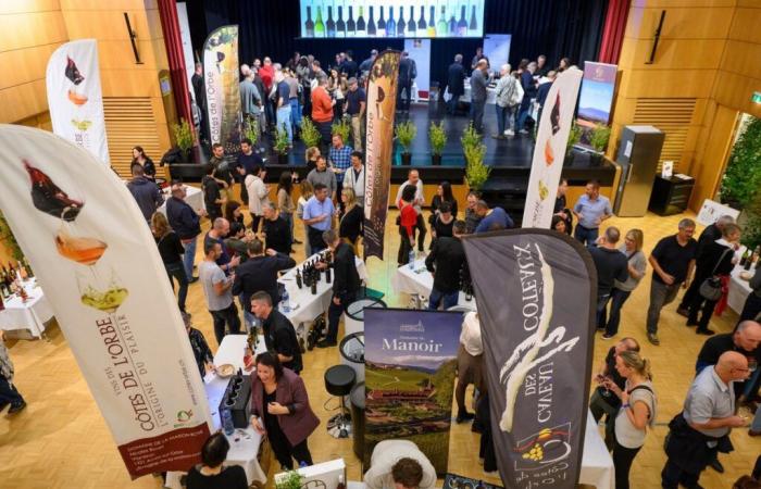 Fuß des Jura: Weinmesse Côtes de l’Orbe