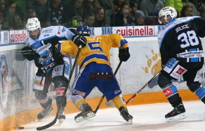 Eishockey. Nach der großen Sorge gibt Tours beruhigende gute Nachrichten von Matthieu Frecon, der früher für Gap, Grenoble und Briançon spielte