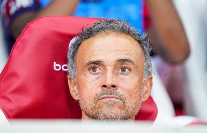 PSG: Drei Verstärkungen für Luis Enrique!