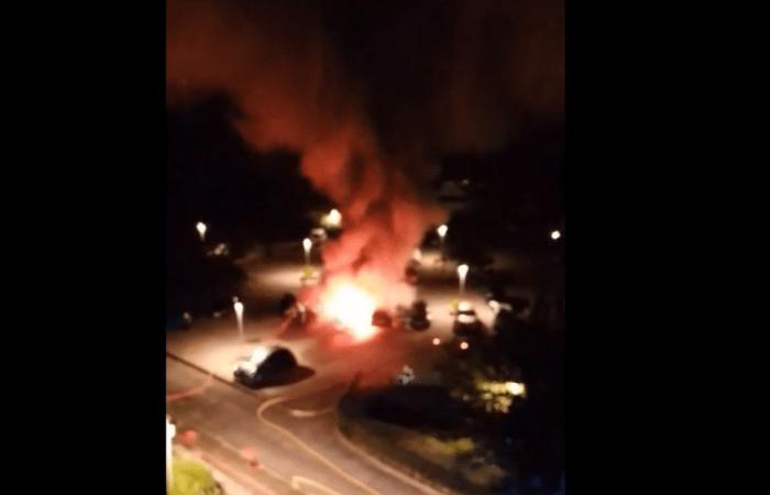 Bei Bränden in Haute-Corse wurden sieben Autos beschädigt