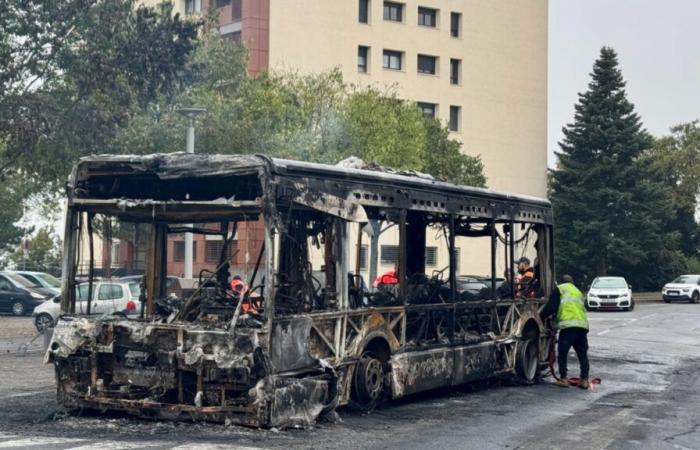 Bis Mitte November keine Busse in der Gegend