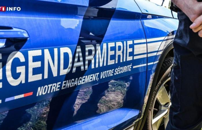 Ardennen: Batman und Catwoman blitzten an Halloween mit mehr als 200 km/h auf