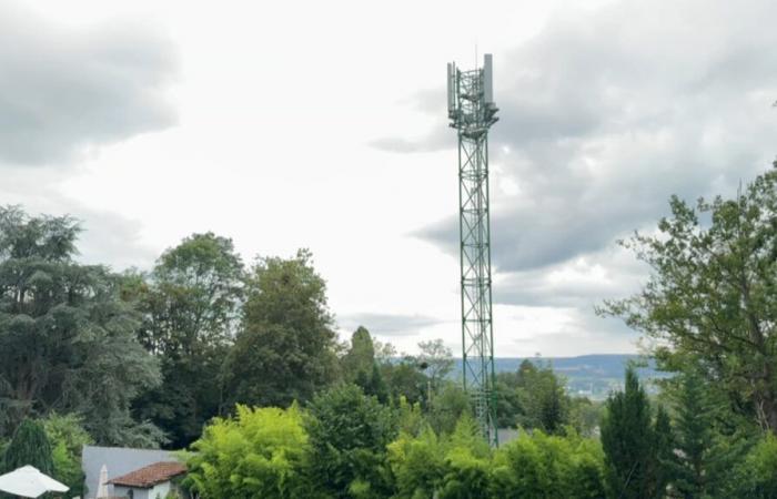 Ein Kollektiv lehnt die Installation einer 5G-Antenne in Vert ab