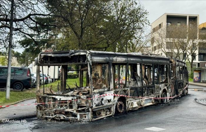 Gestern Abend brannten zwei TCL-Busse nieder