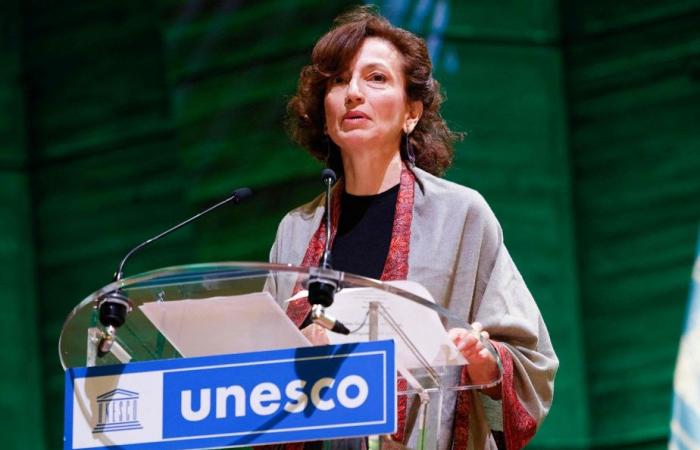 UNESCO | Morde an Journalisten bleiben meist ungestraft