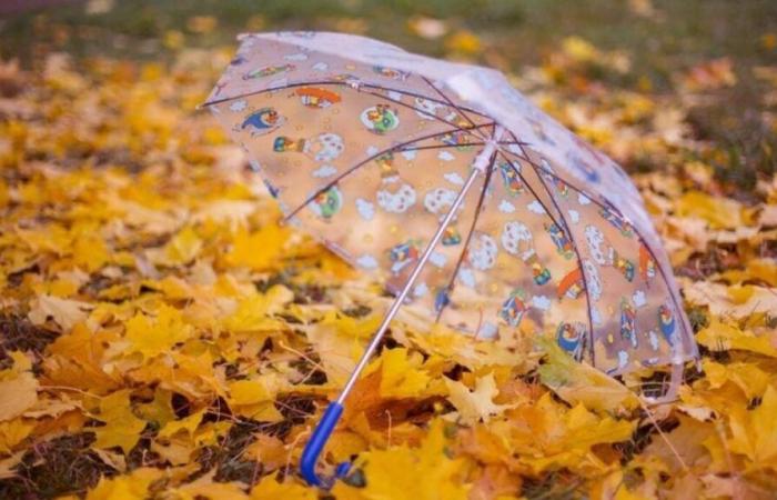 Wettervorhersage in Algerien: regnerischer oder sonniger Himmel, welches Wetter ist am 3. November zu erwarten?