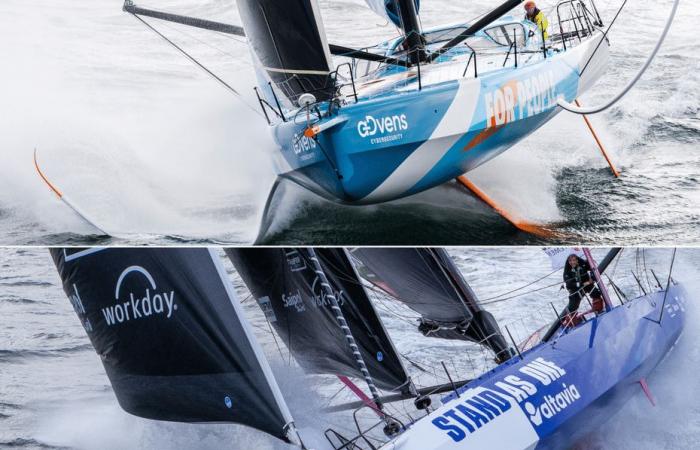 Vendée Globe. Fliegendes oder treibendes Boot: Thomas Ruyant und Eric Bellion vereinen ihre Vision dieses Abenteuers rund um die Welt